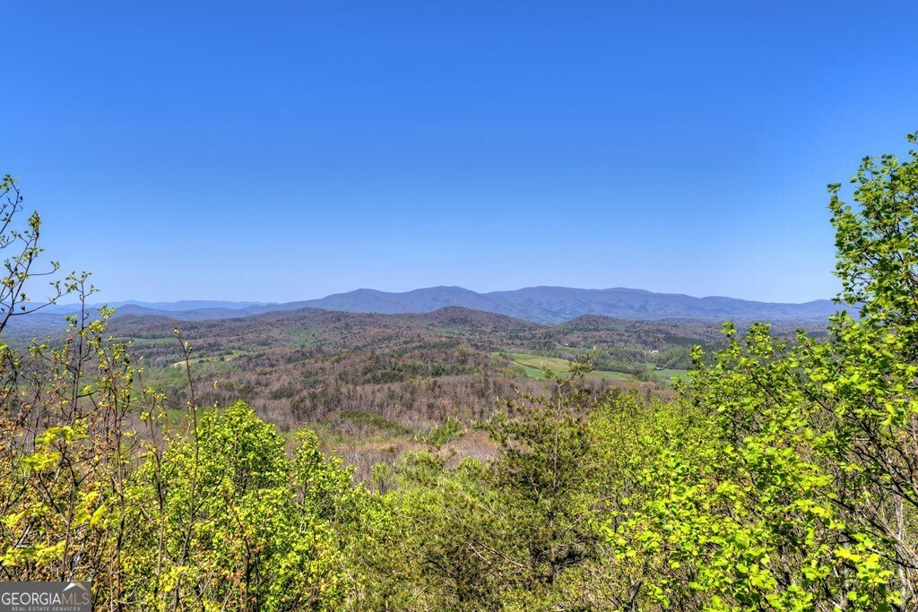 1073 Old Burnt Mountain Road Ellijay - Photo 48
