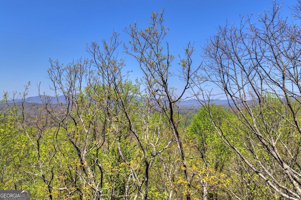 1073 Old Burnt Mountain Road Ellijay - Photo 49
