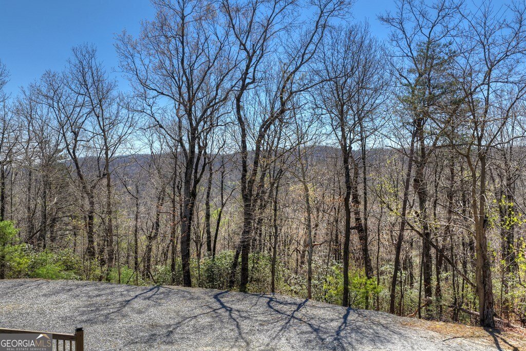 1073 Old Burnt Mountain Road Ellijay - Photo 50