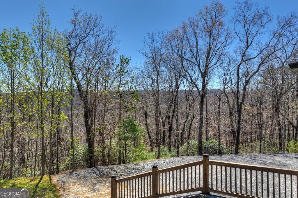 1073 Old Burnt Mountain Road Ellijay - Photo 9