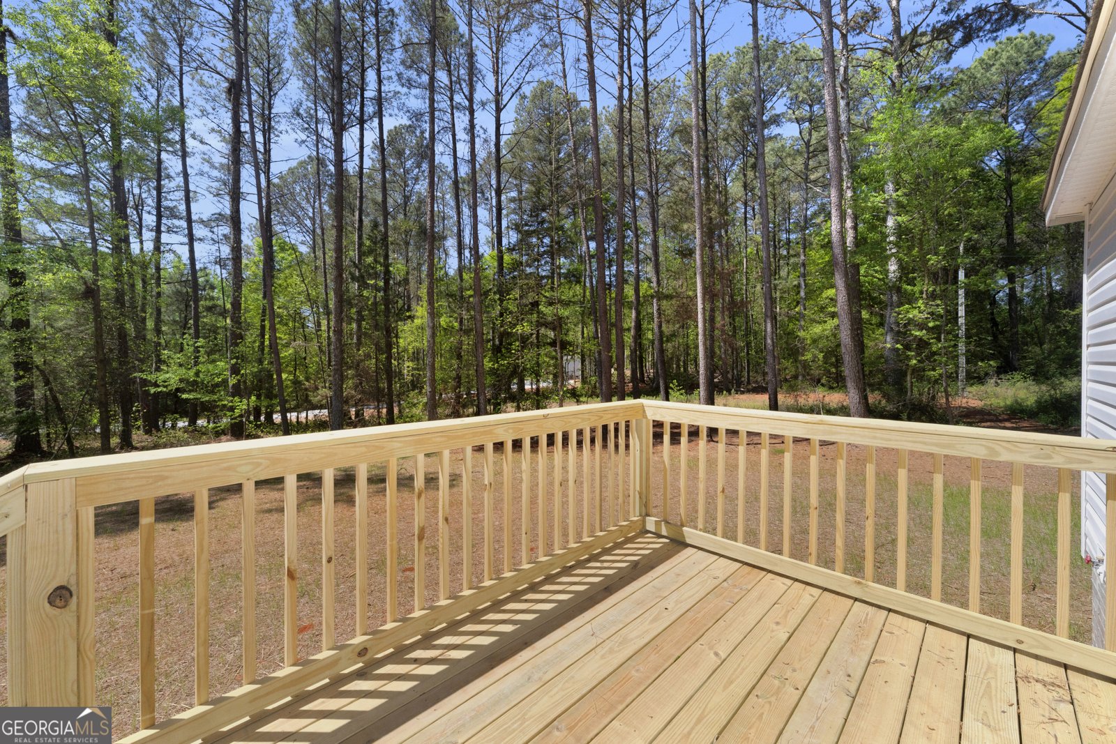 108 Shiloh Church Rd Dewy Rose - Photo 39