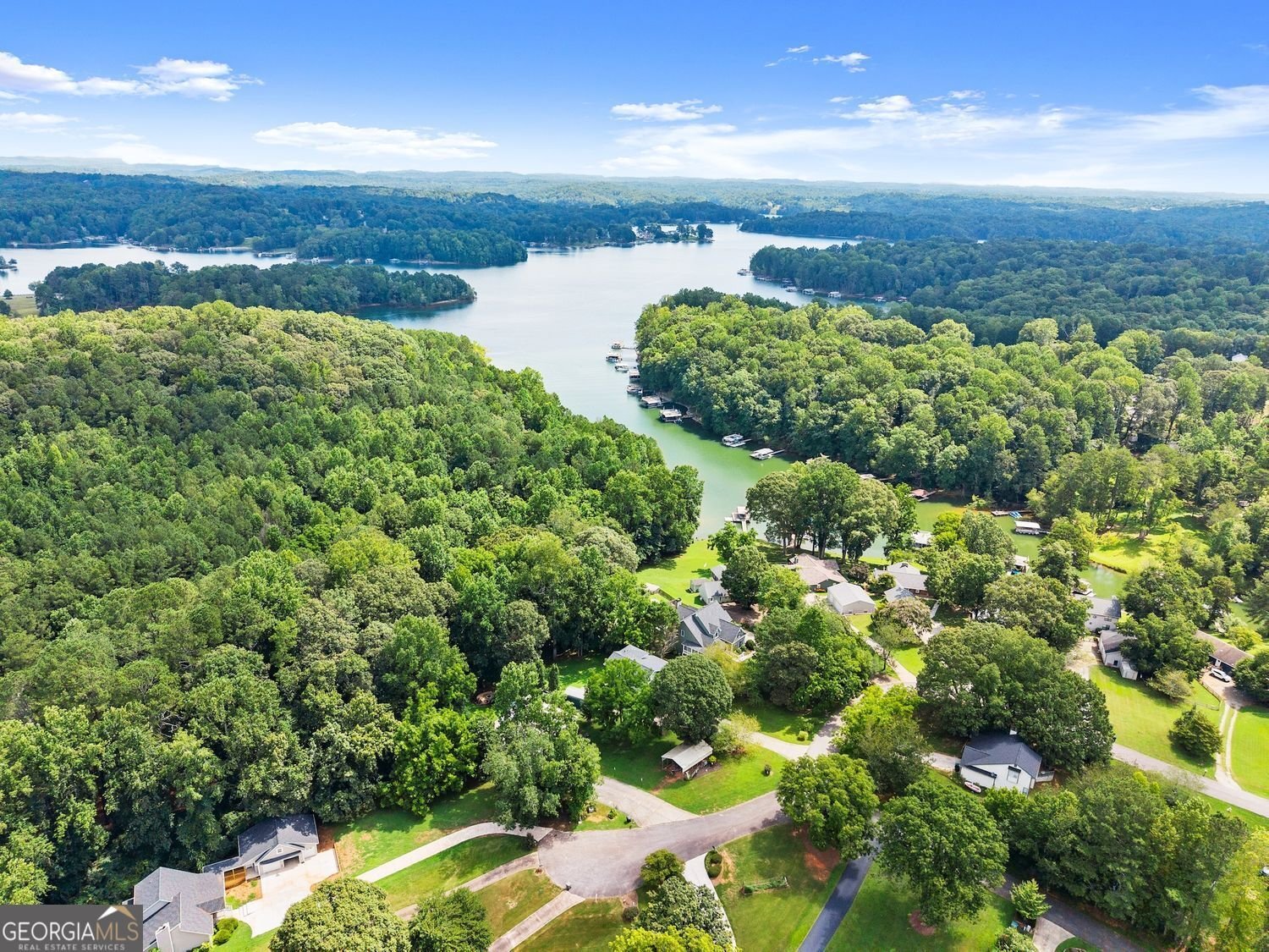 272 Indian Cove Drive Dawsonville - Photo 43