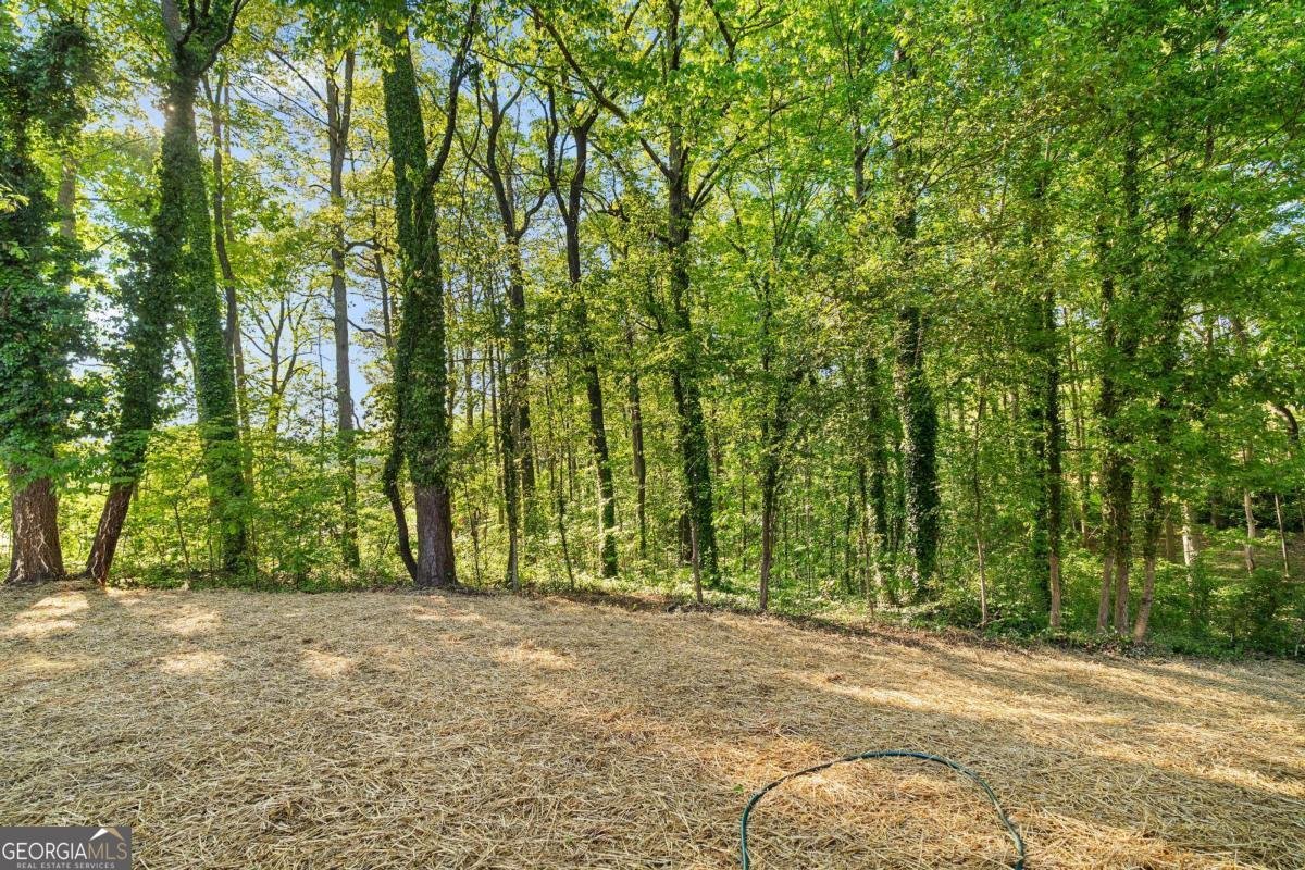 1513 Oakmoor Place Marietta - Photo 44