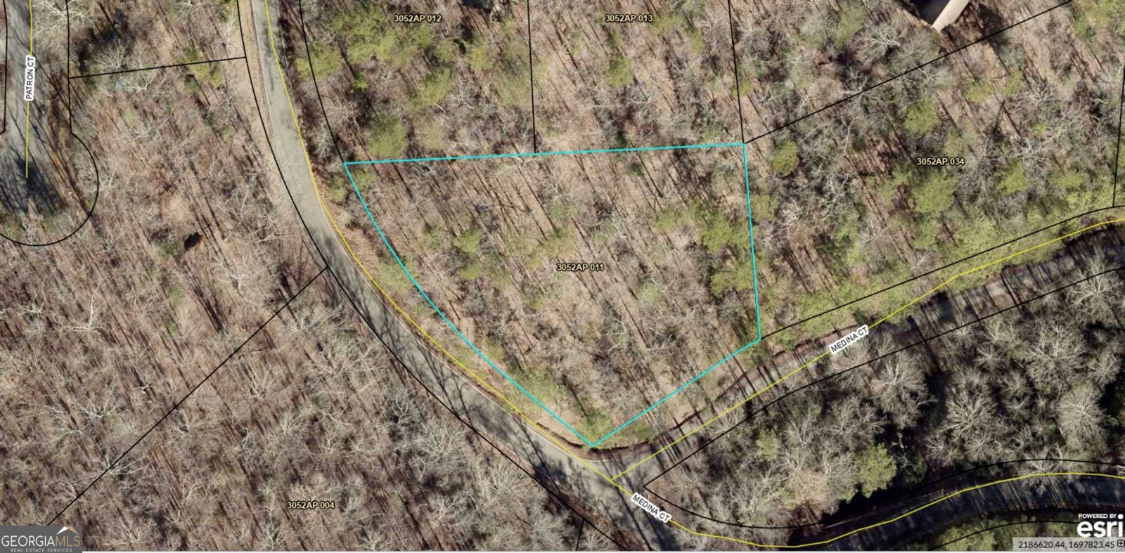 274 Medina Court Elijay - Photo 39