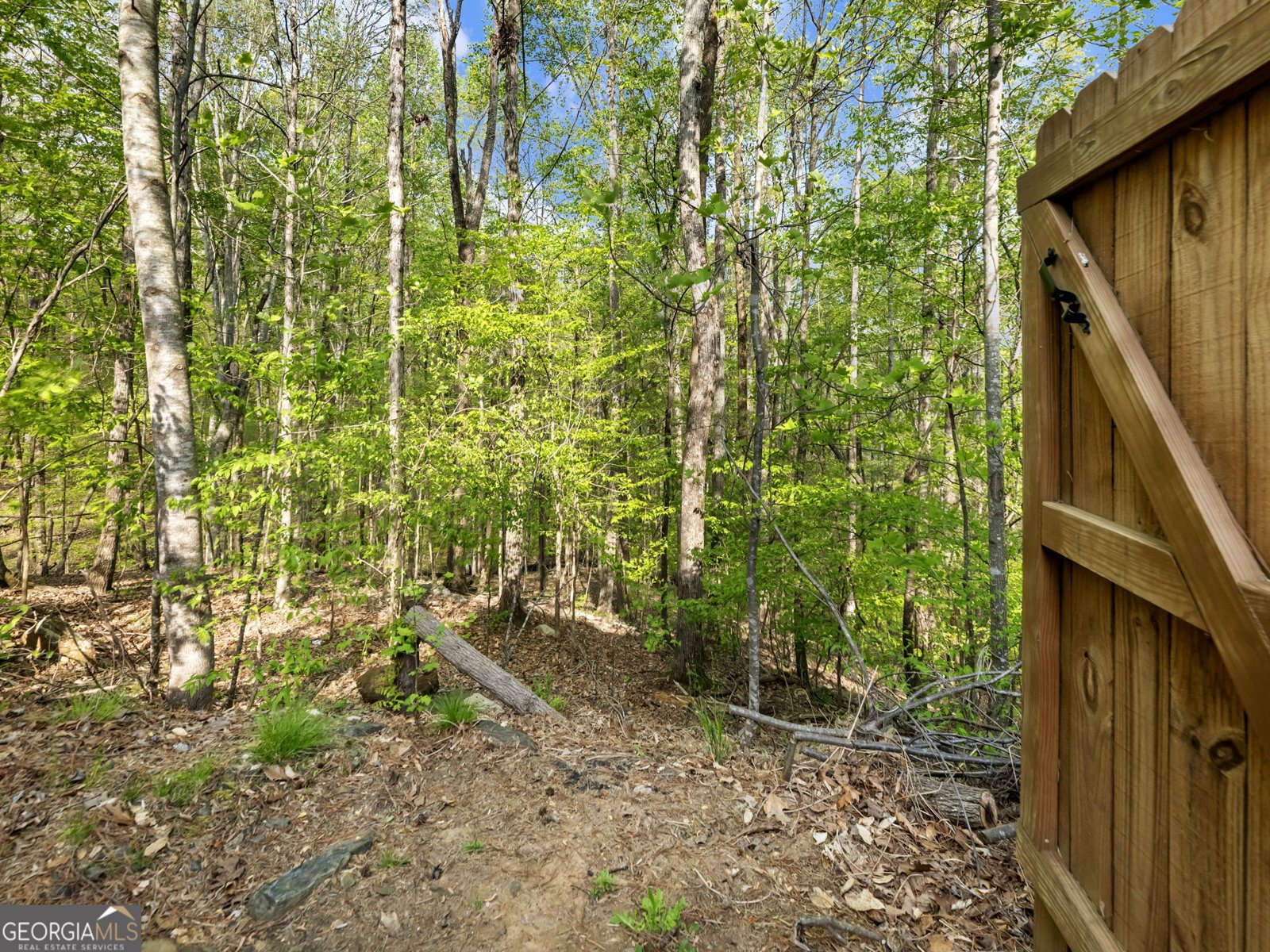 4340 Sierra Creek Drive Hoschton - Photo 59