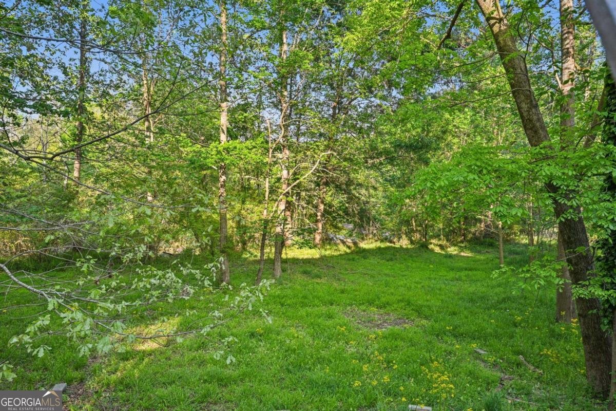 3697 Mortons Landing Drive Ellenwood - Photo 66