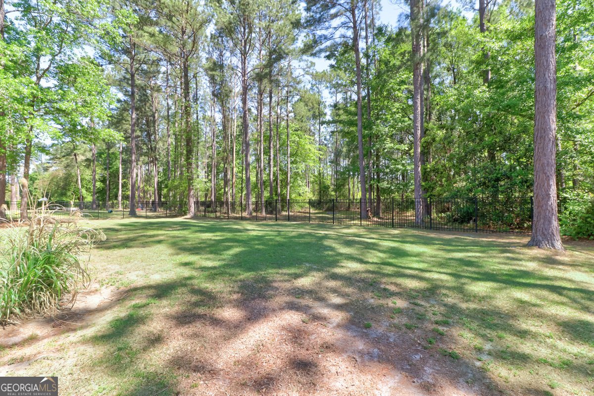 136 Ruby Trail Guyton - Photo 46