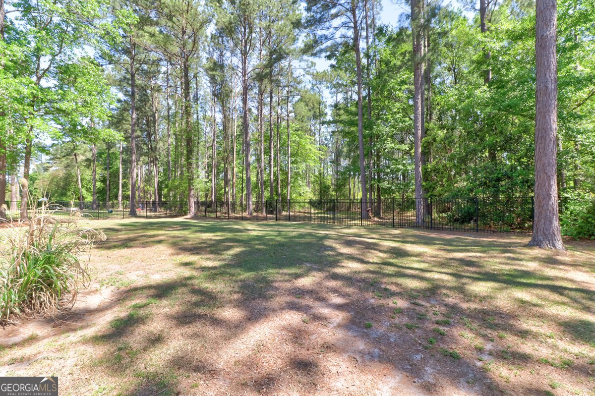 136 Ruby Trail Guyton - Photo 47