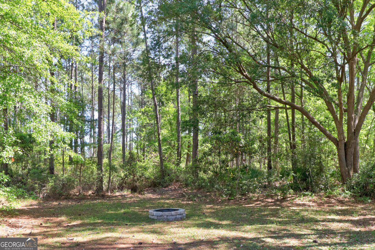 136 Ruby Trail Guyton - Photo 54