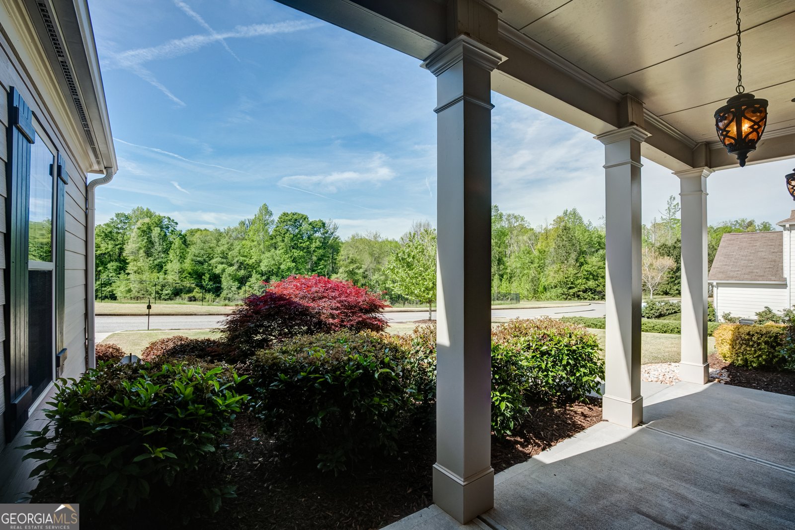 235 Renwick Drive Senoia - Photo 6