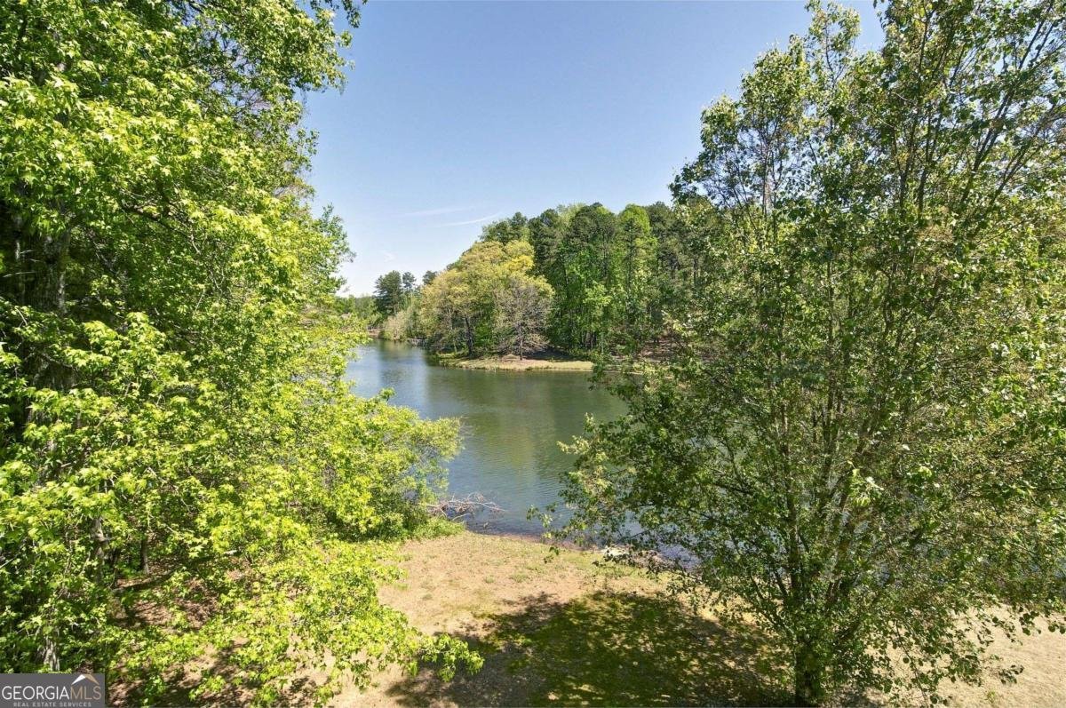 503 Lakeview Court Woodstock - Photo 40