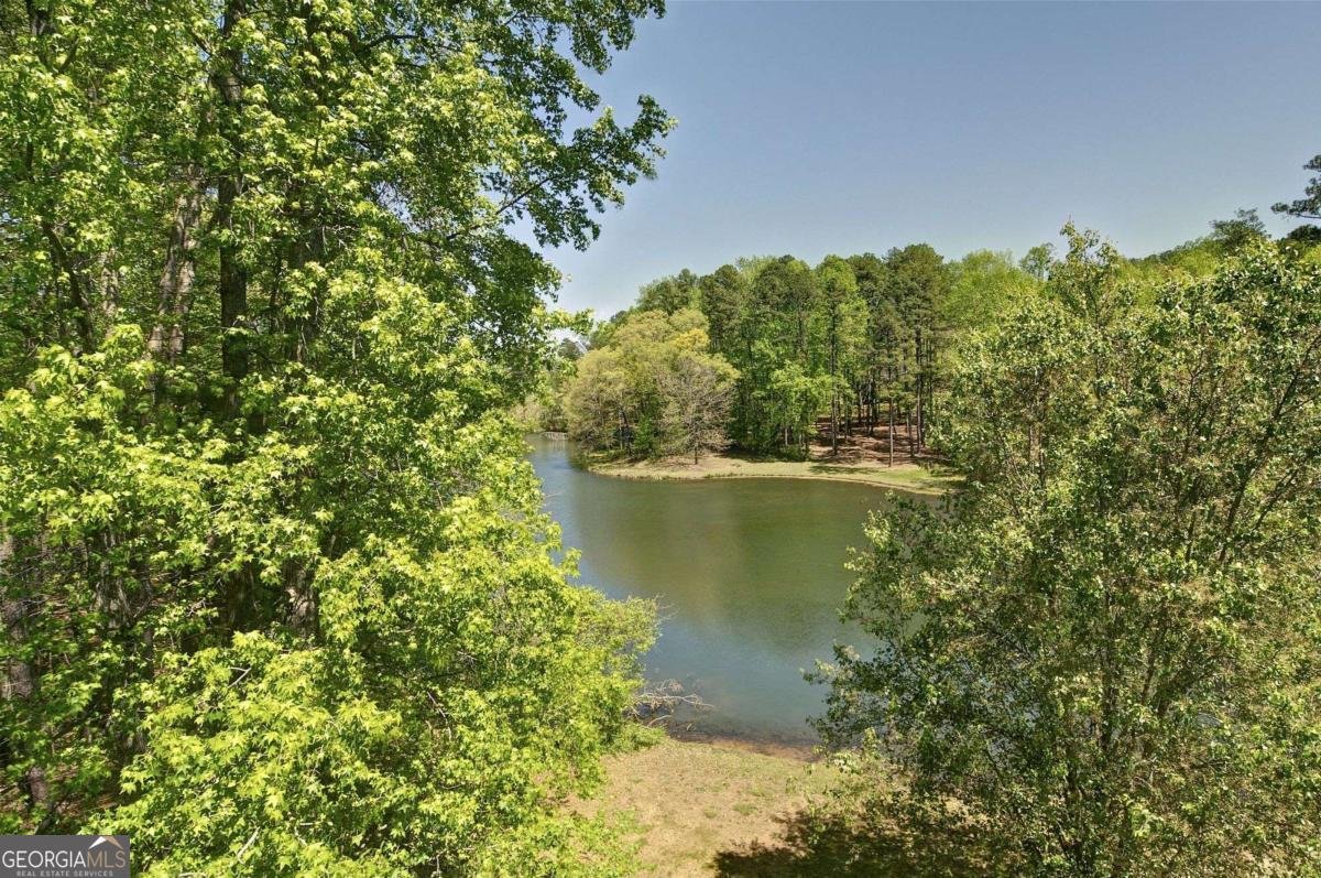 503 Lakeview Court Woodstock - Photo 62