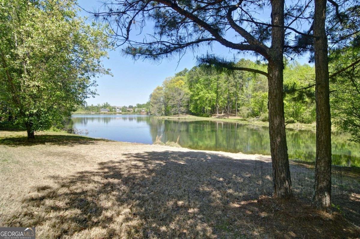 503 Lakeview Court Woodstock - Photo 75