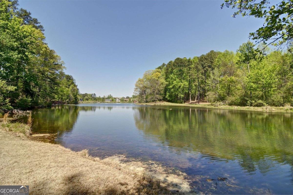 503 Lakeview Court Woodstock - Photo 76