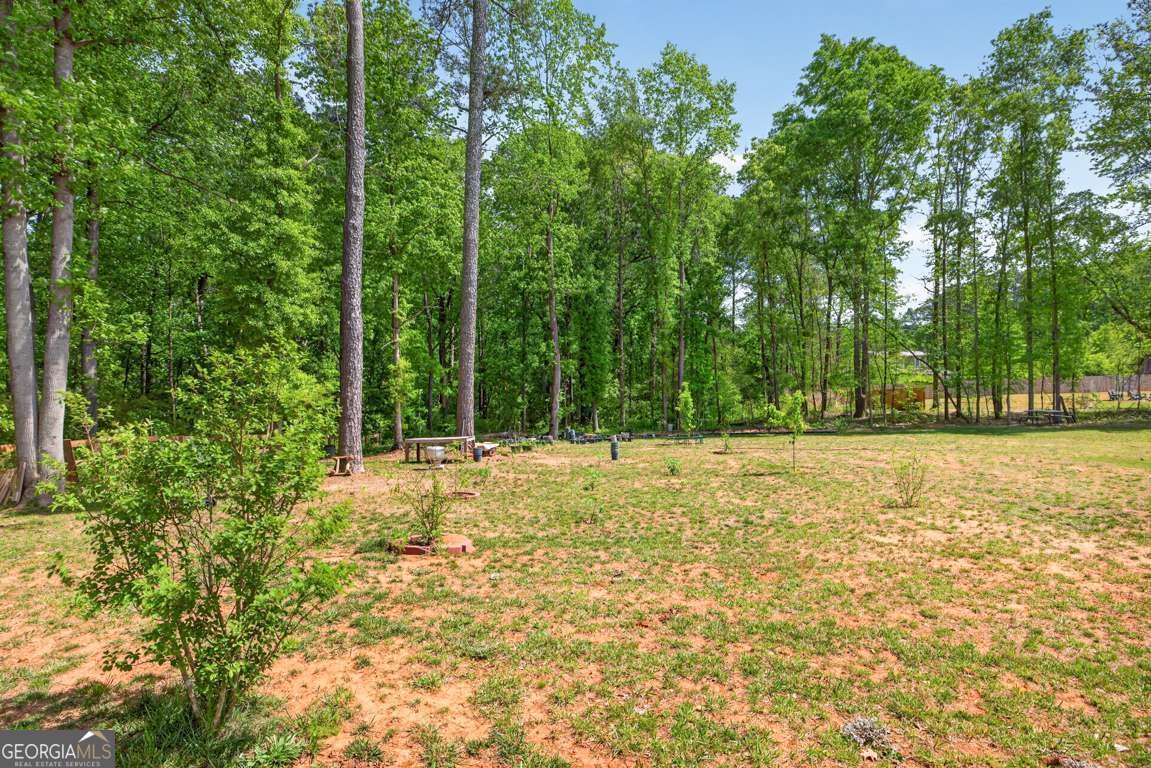 593 Dunagan Court Winder - Photo 35