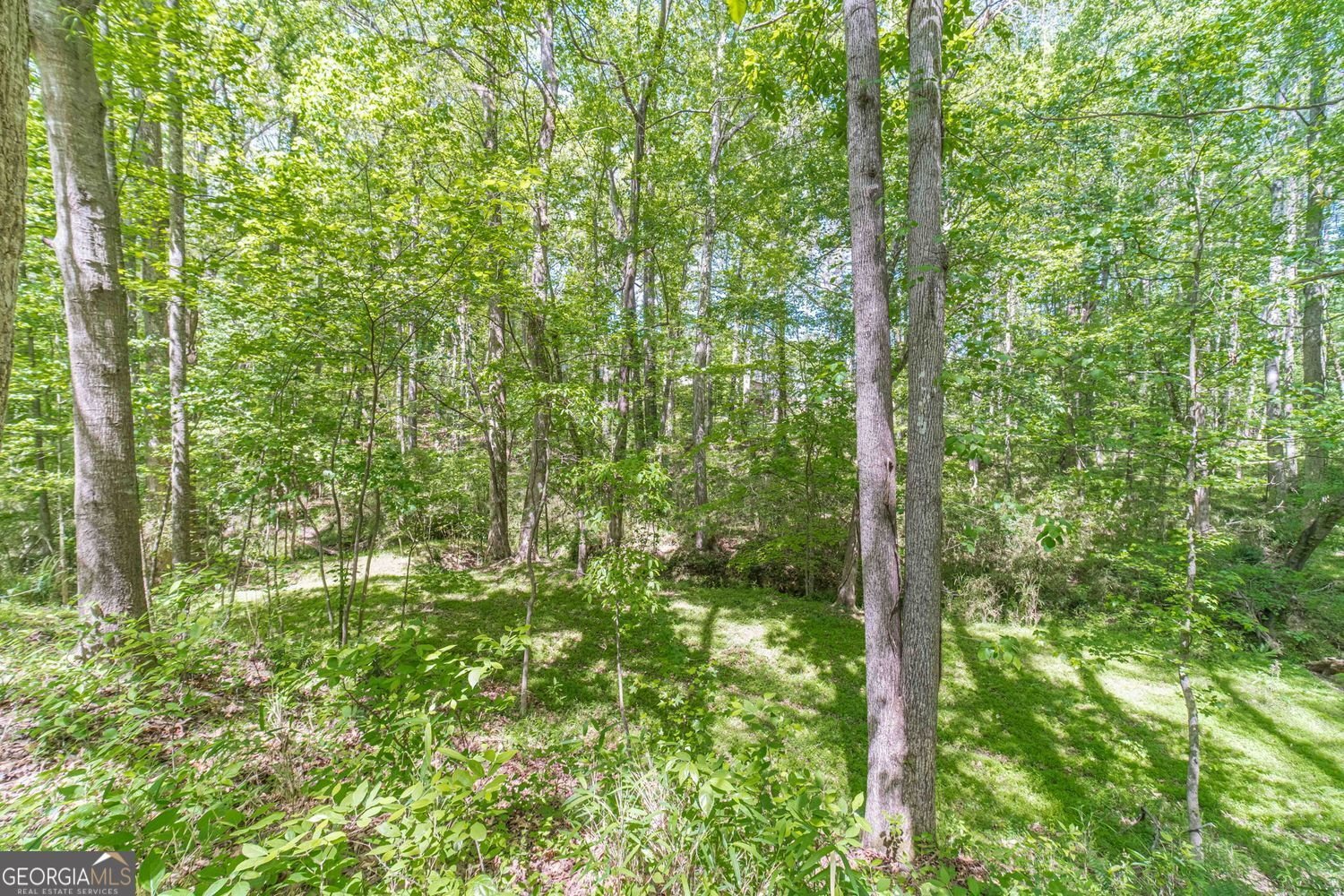 2195 Azalea Drive Loganville - Photo 38