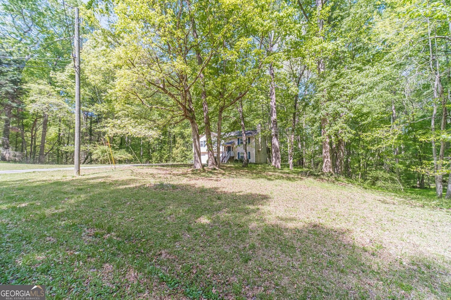 2195 Azalea Drive Loganville - Photo 42
