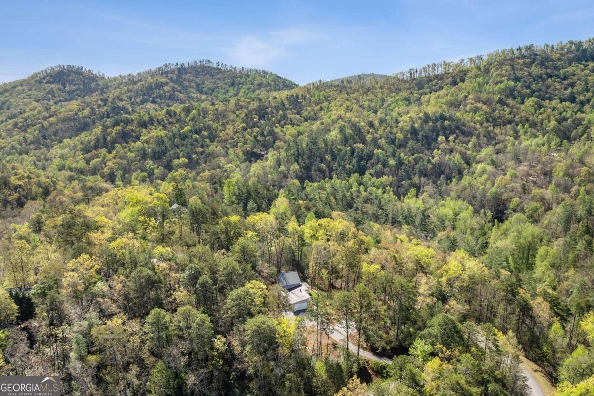 206 Celestial Circle Clayton - Photo 45