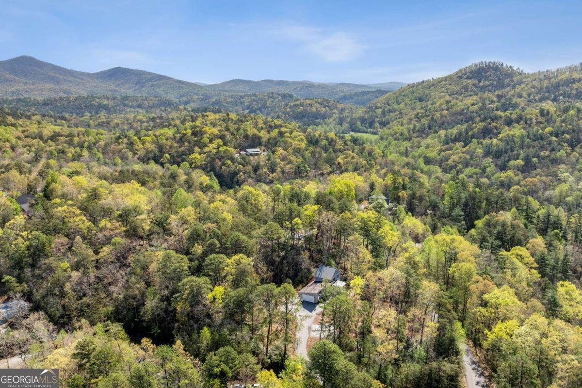 206 Celestial Circle Clayton - Photo 46