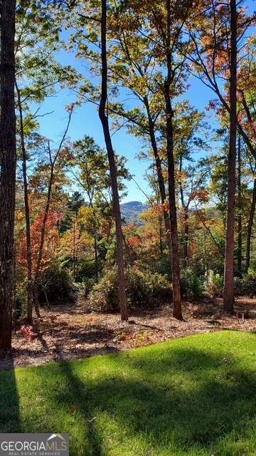 206 Celestial Circle Clayton - Photo 51