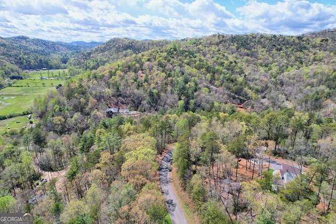 206 Celestial Circle Clayton - Photo 53