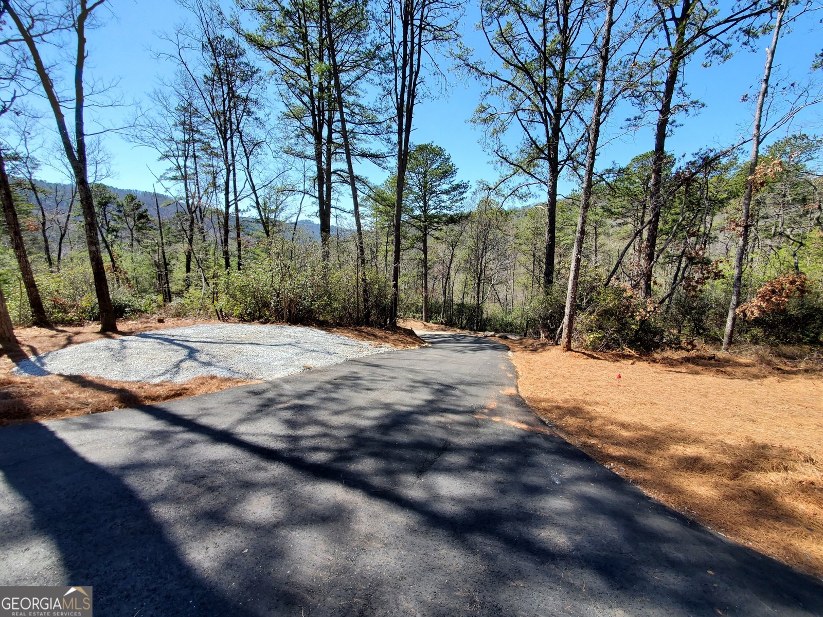 206 Celestial Circle Clayton - Photo 59
