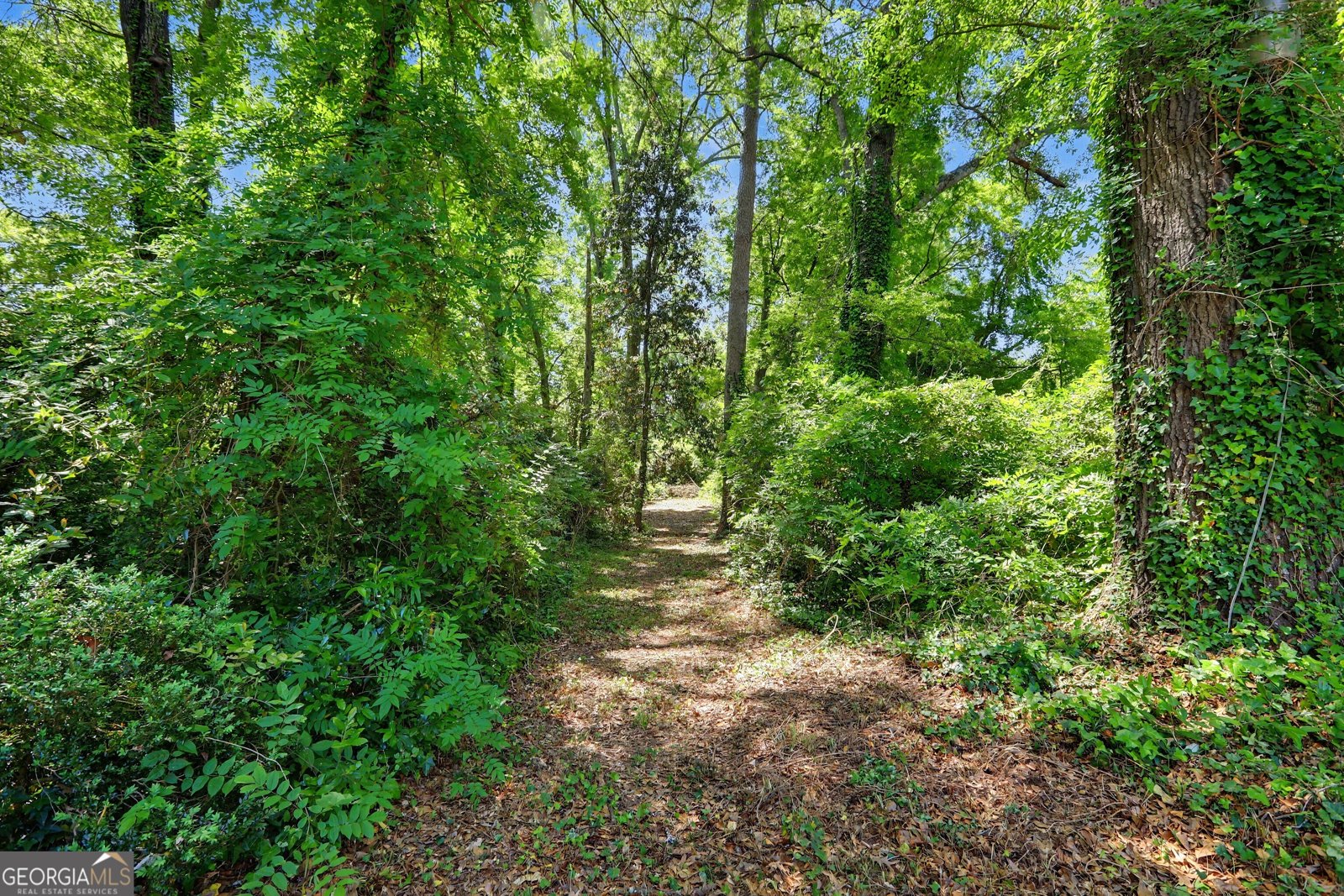 306 Tilney Avenue Griffin - Photo 37