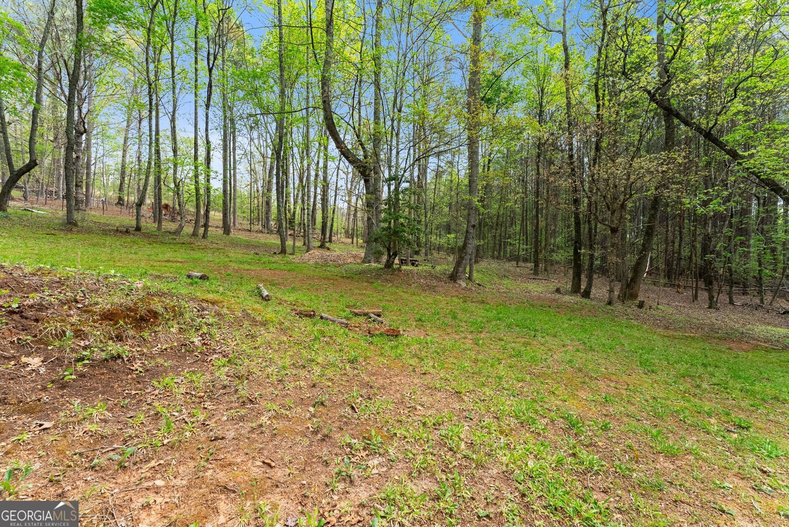 656 Stanley Nix Road Cleveland - Photo 58