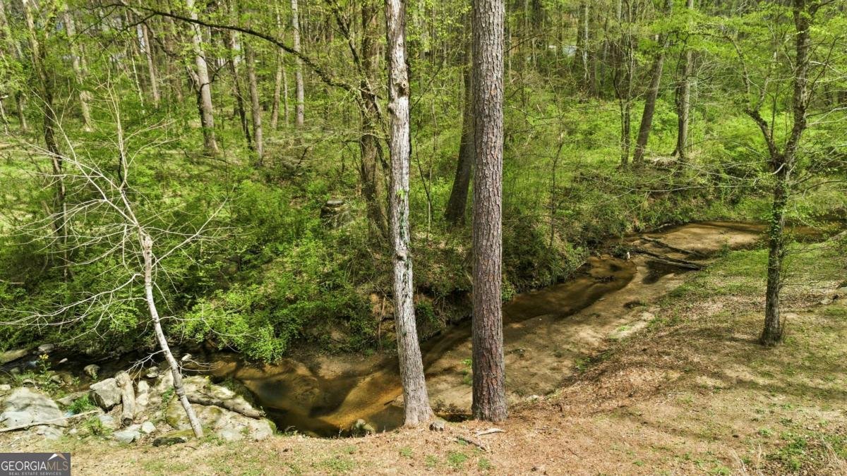 145 Shadybrook Lane Atlanta - Photo 15