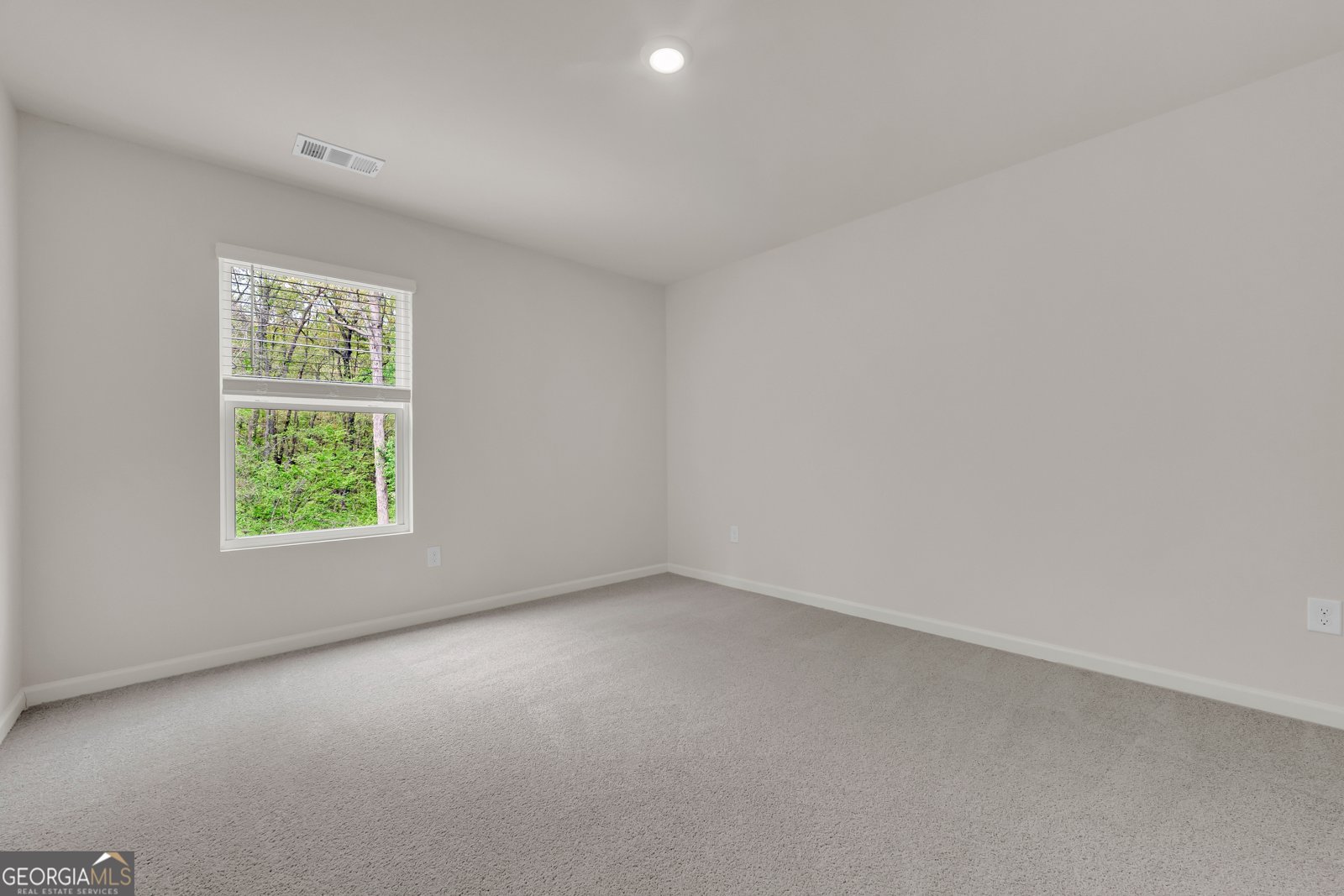 545 Quail Pass Dawsonville - Photo 29