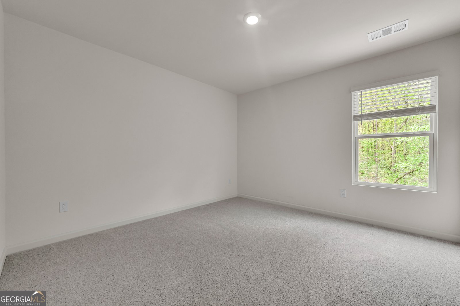 545 Quail Pass Dawsonville - Photo 35