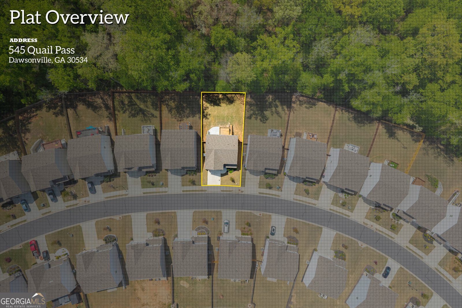 545 Quail Pass Dawsonville - Photo 57