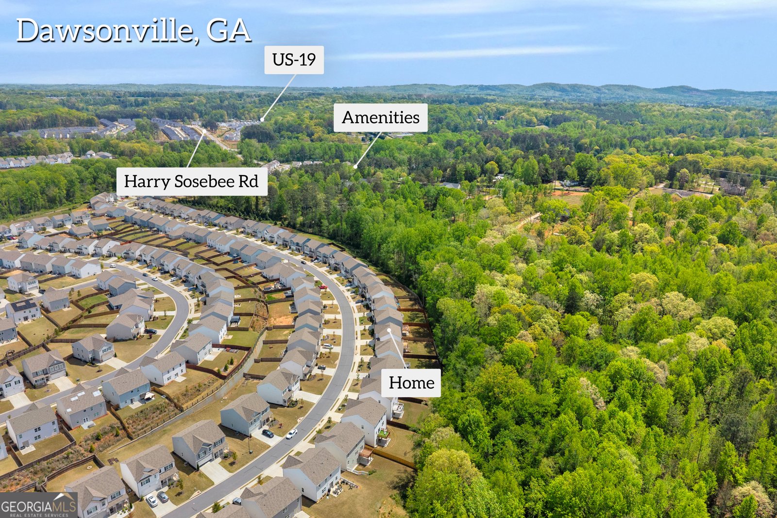 545 Quail Pass Dawsonville - Photo 60