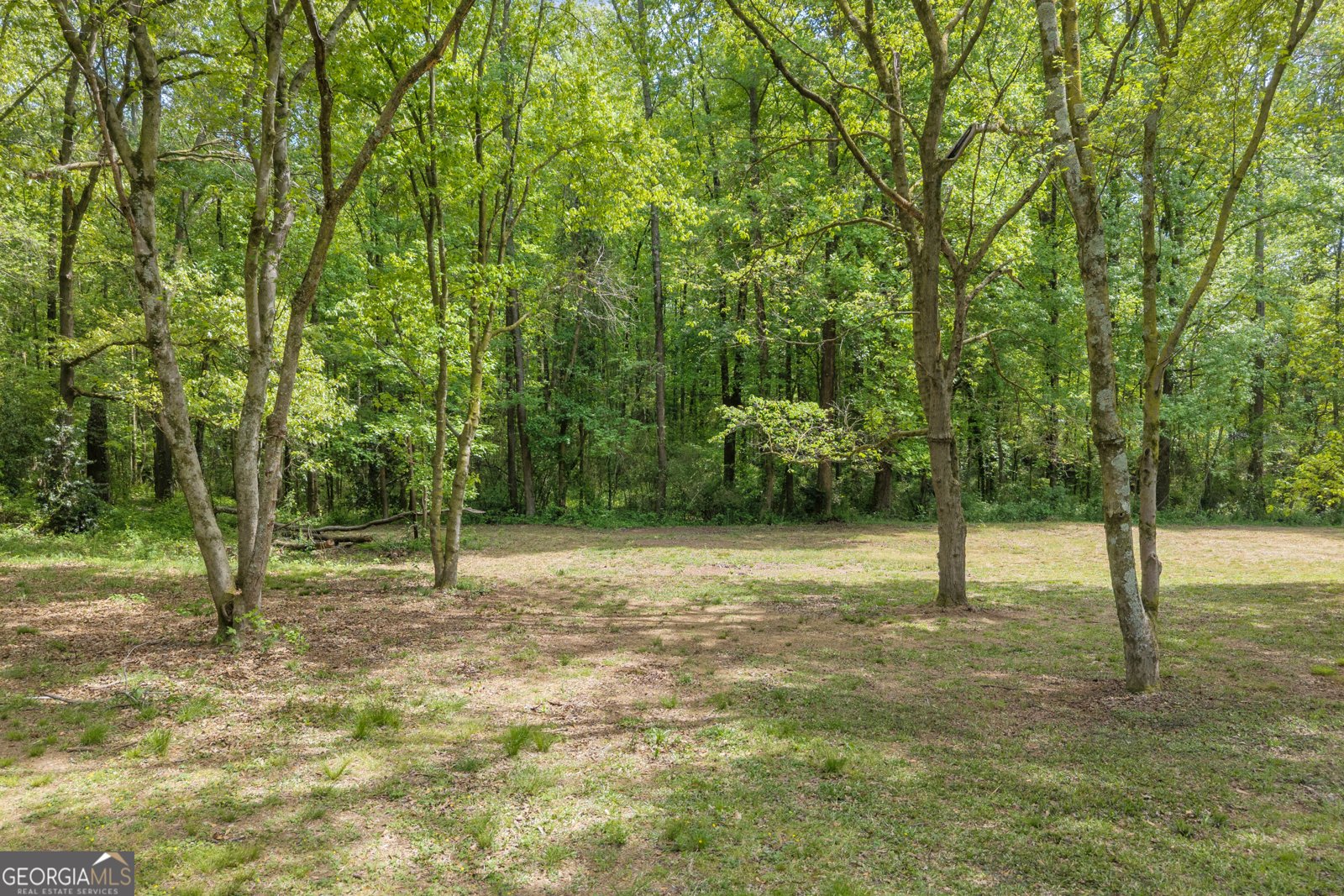 1659 Highway 17 S Royston - Photo 43