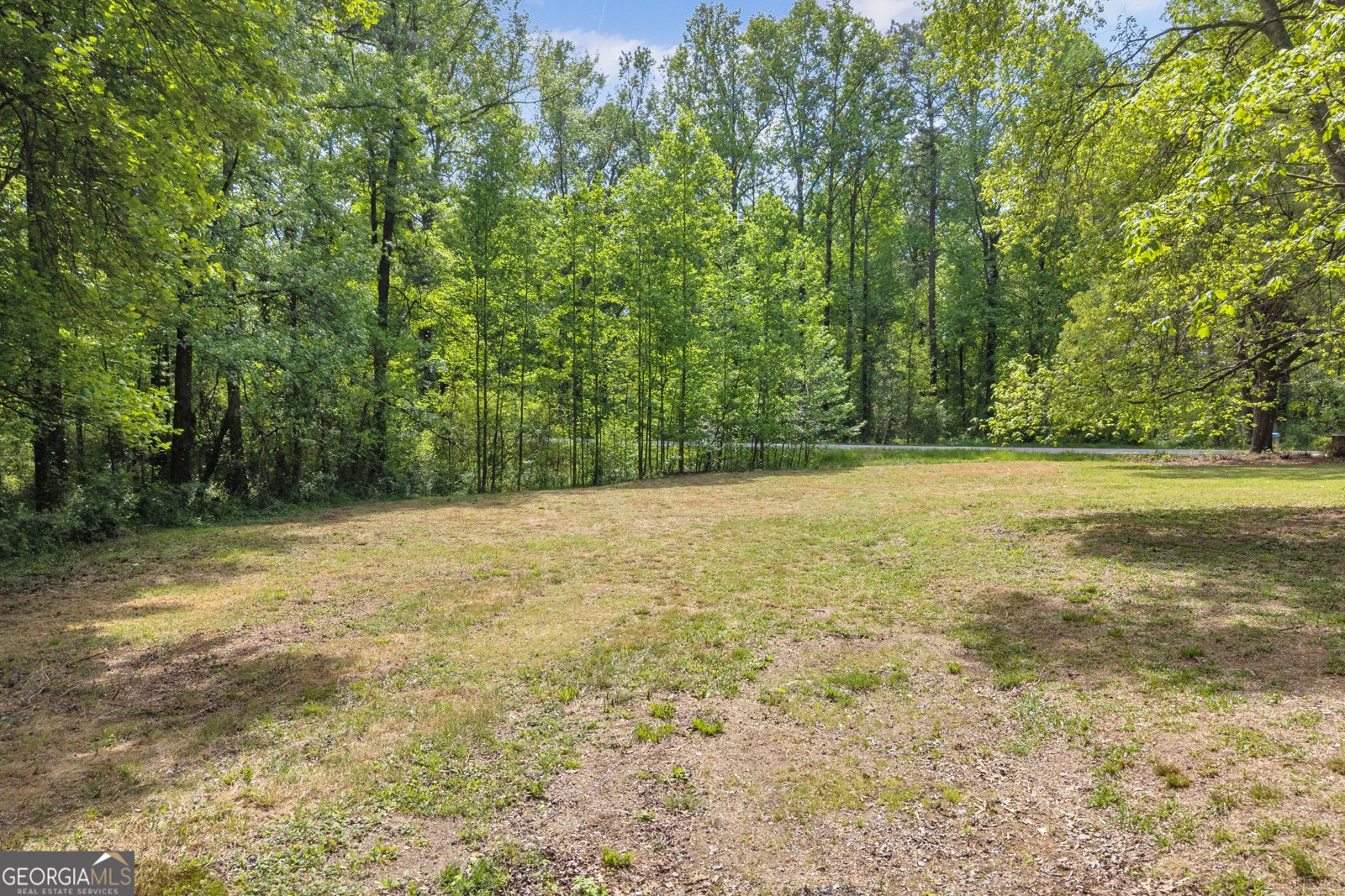 1659 Highway 17 S Royston - Photo 44