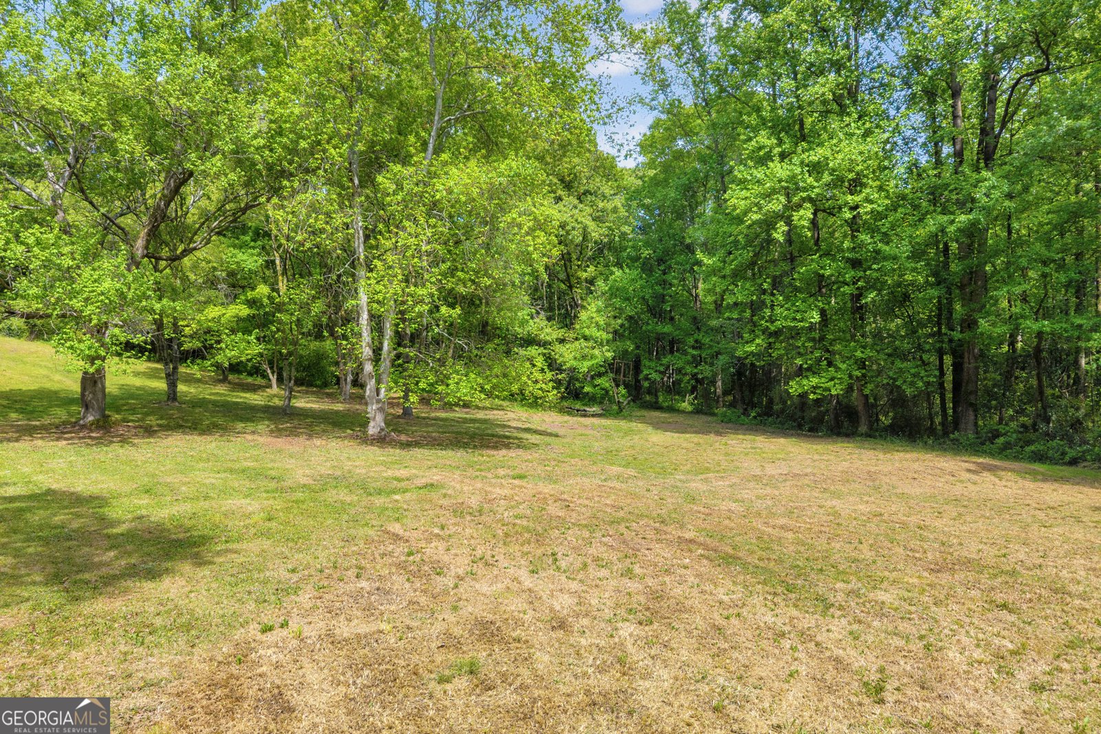 1659 Highway 17 S Royston - Photo 45