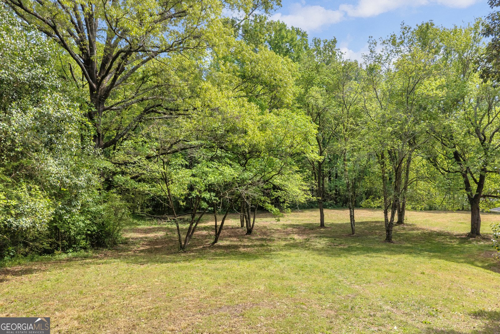 1659 Highway 17 S Royston - Photo 46