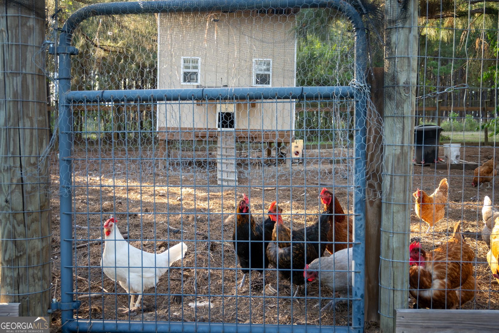 1060 Edna Moore Road Eastman - Photo 69