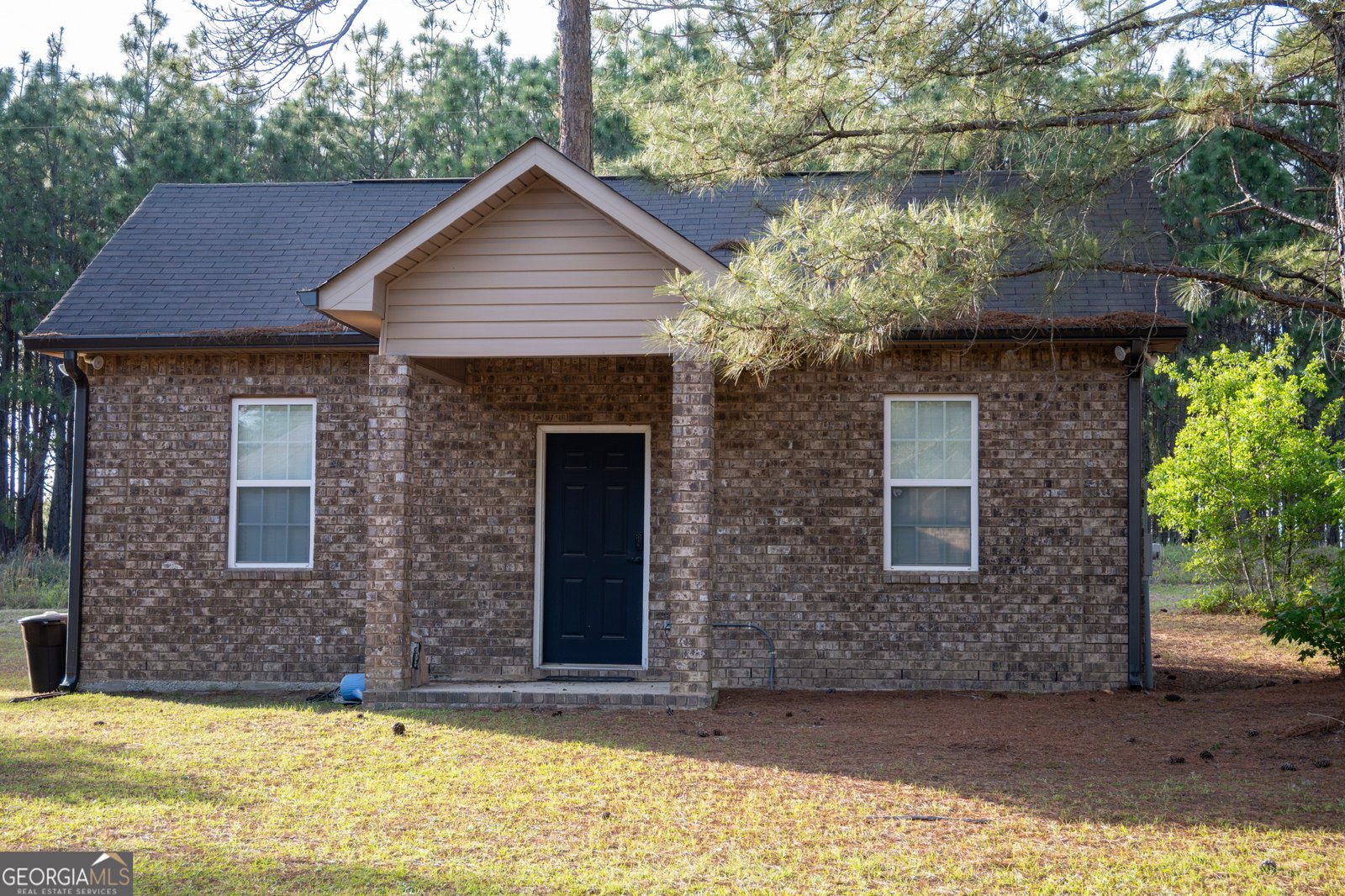1060 Edna Moore Road Eastman - Photo 78