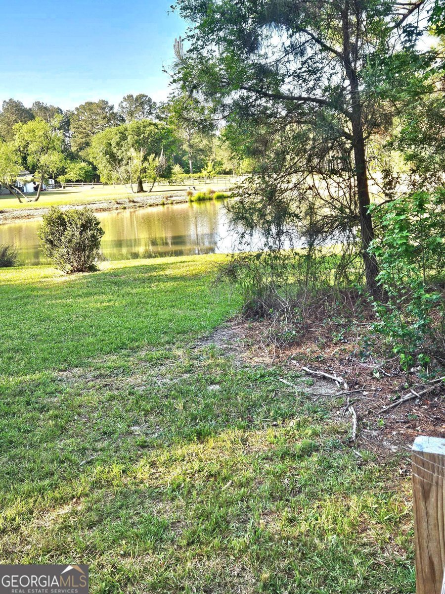 1060 Edna Moore Road Eastman - Photo 91