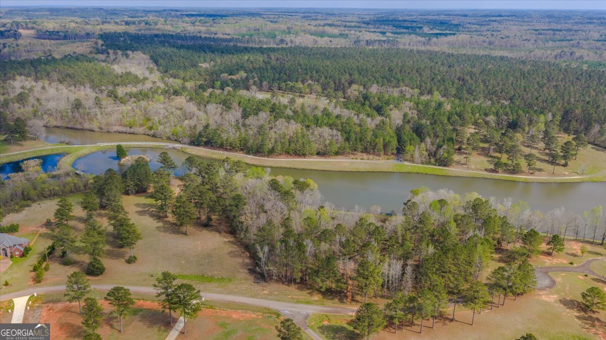 114 Champions Drive Forsyth - Photo 70