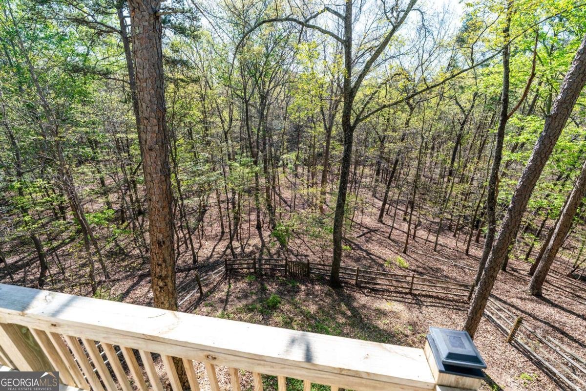 225 Chickasaw Drive Waleska - Photo 37