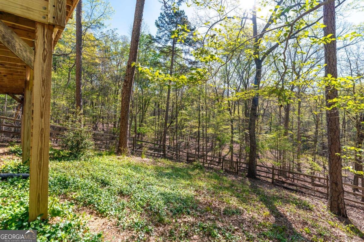 225 Chickasaw Drive Waleska - Photo 43