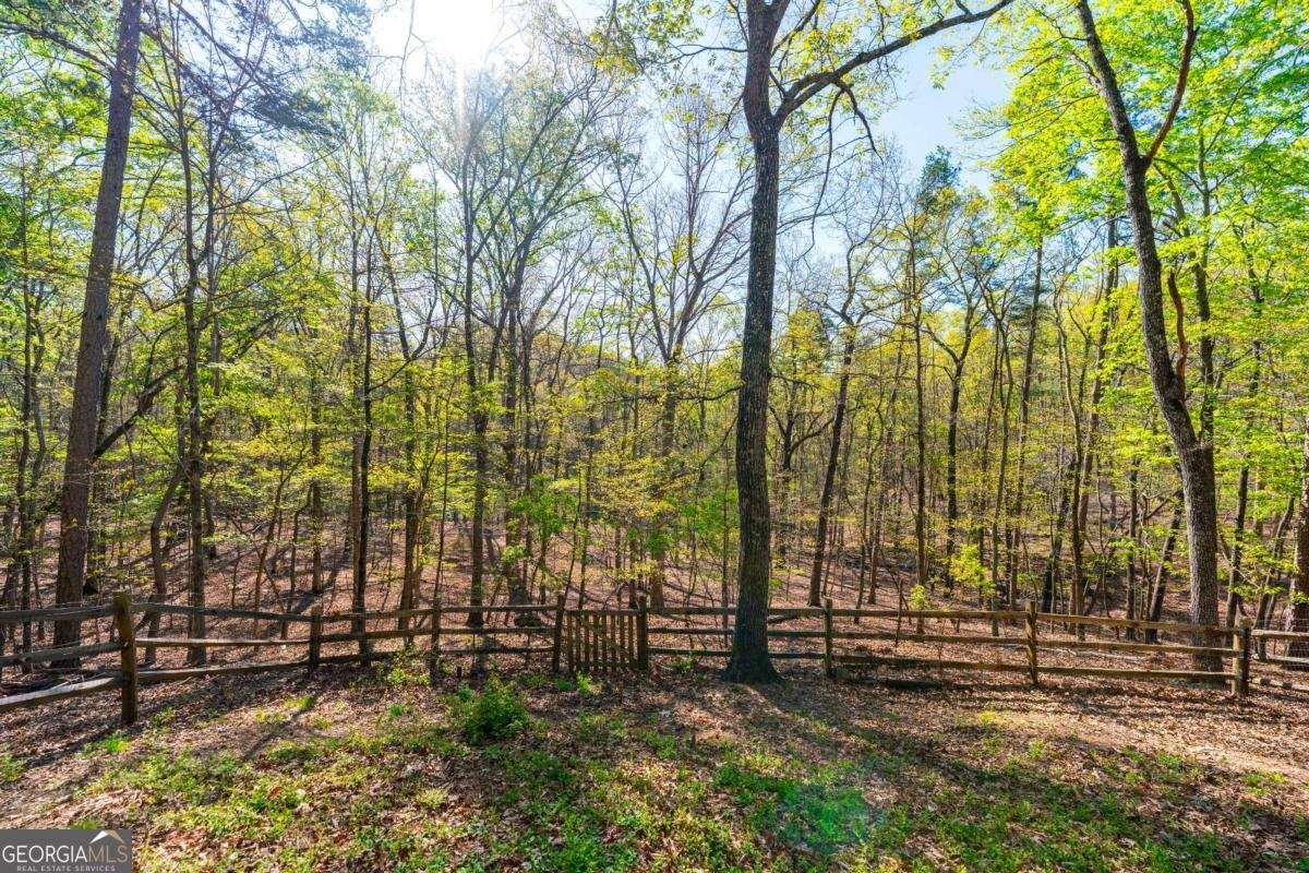 225 Chickasaw Drive Waleska - Photo 44