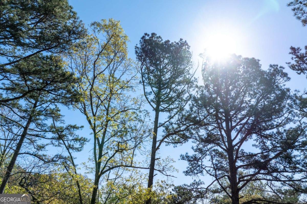 225 Chickasaw Drive Waleska - Photo 45