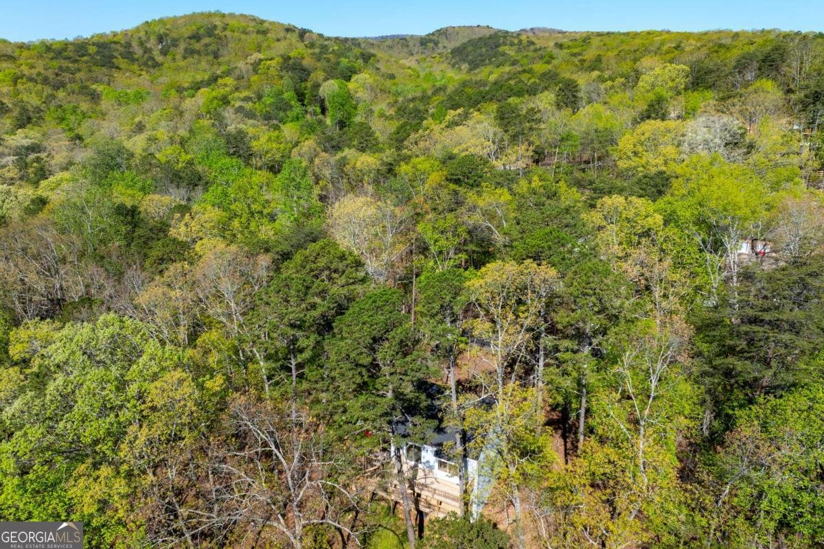 225 Chickasaw Drive Waleska - Photo 51