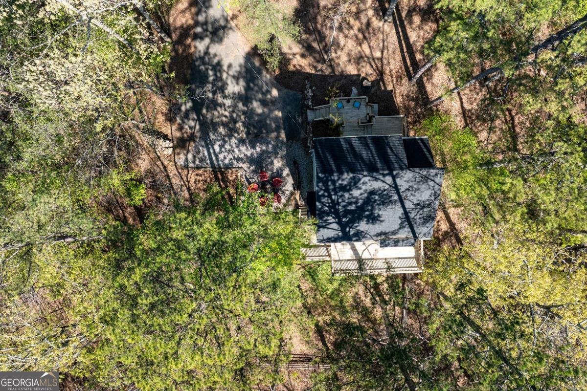 225 Chickasaw Drive Waleska - Photo 52