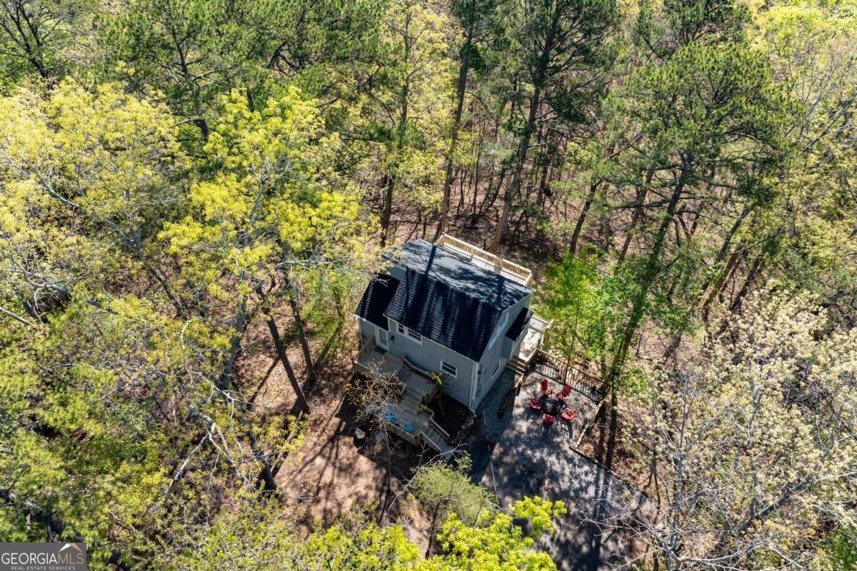 225 Chickasaw Drive Waleska - Photo 53