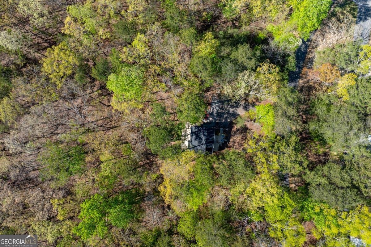 225 Chickasaw Drive Waleska - Photo 54