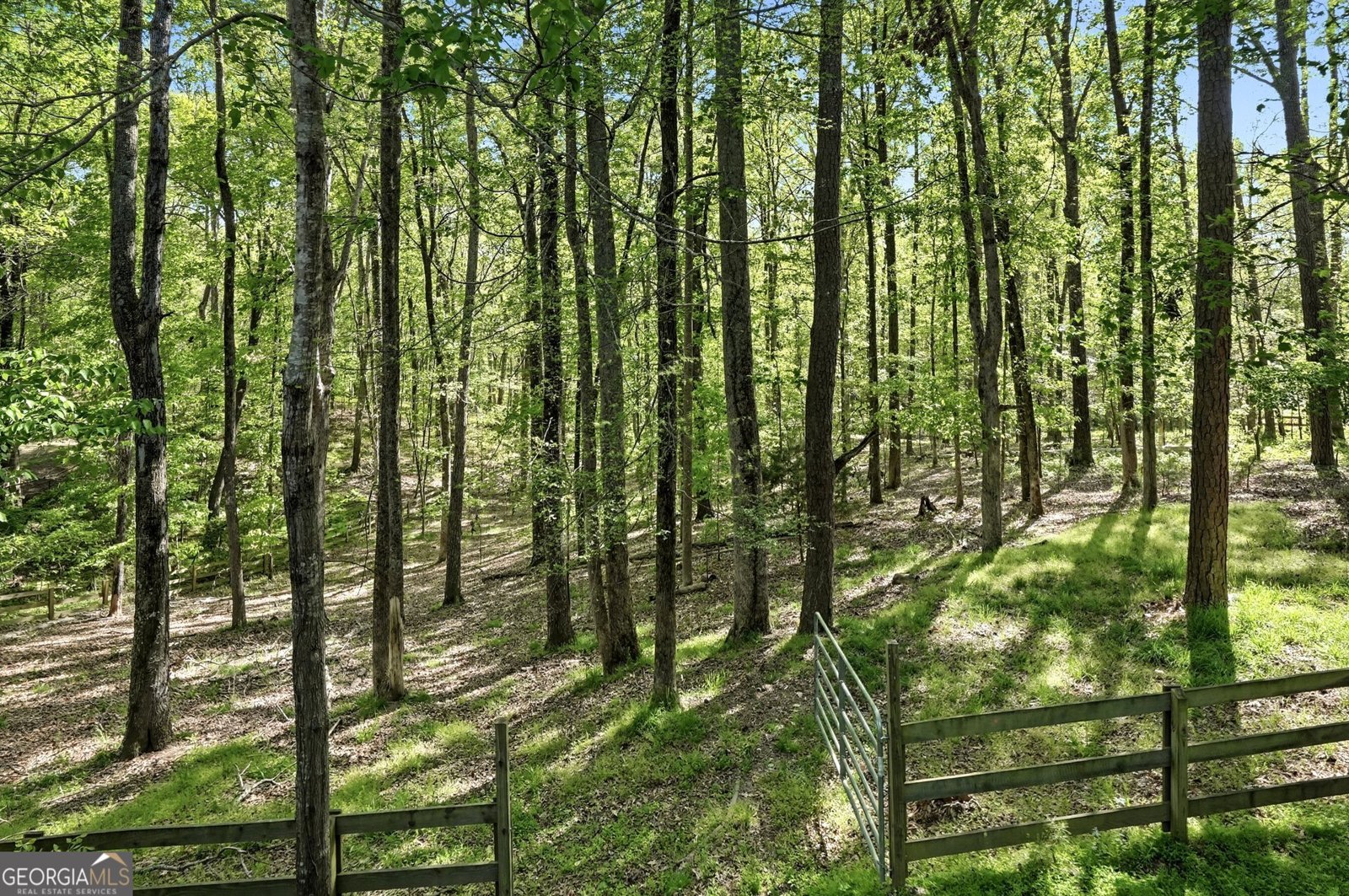 13770 Birmingham Highway Milton - Photo 41